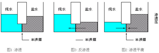 反滲透膜