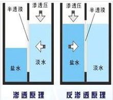 反滲透膜及其基本原理介紹
